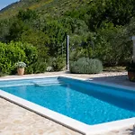 House With Pool Garden
