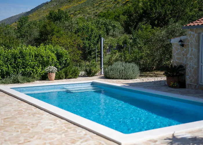 House With Pool Garden