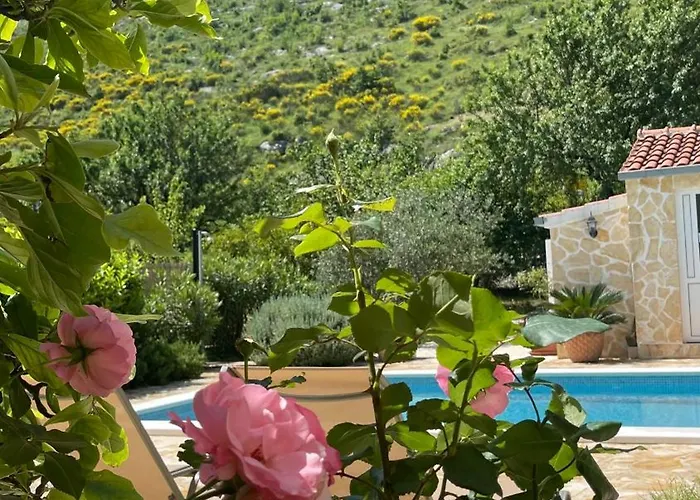 Villa House With Pool Garden