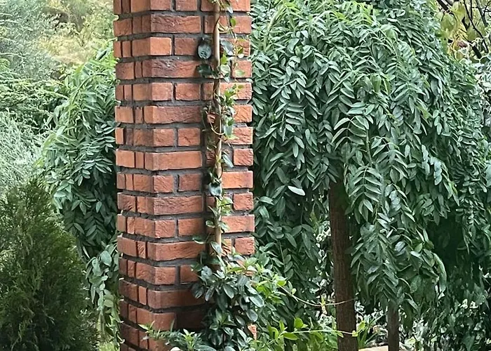 House With Pool Garden Villa Zrnovnica