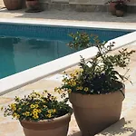 House With Pool Garden *