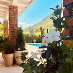 House With Pool Garden 别墅 *