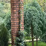 House With Pool Garden 别墅 Žrnovnica