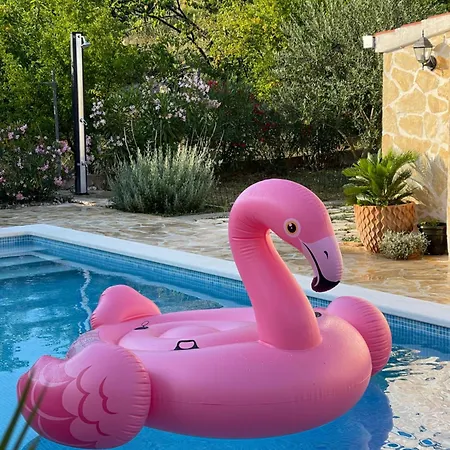 House With Pool Garden Βίλα