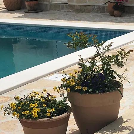 House With Pool Garden *
