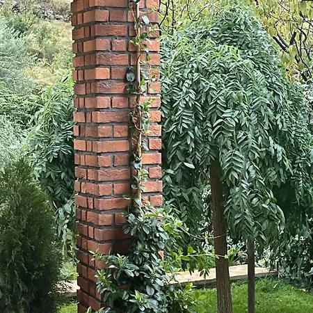 House With Pool Garden Βίλα Žrnovnica